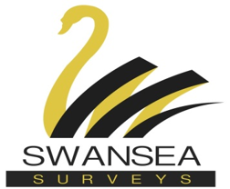 Swansea PNG